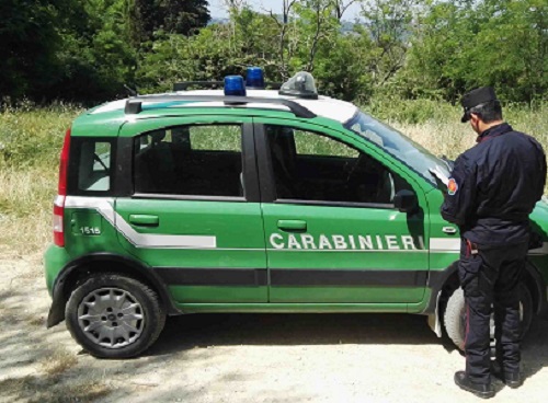 carabinieri forestali 500
